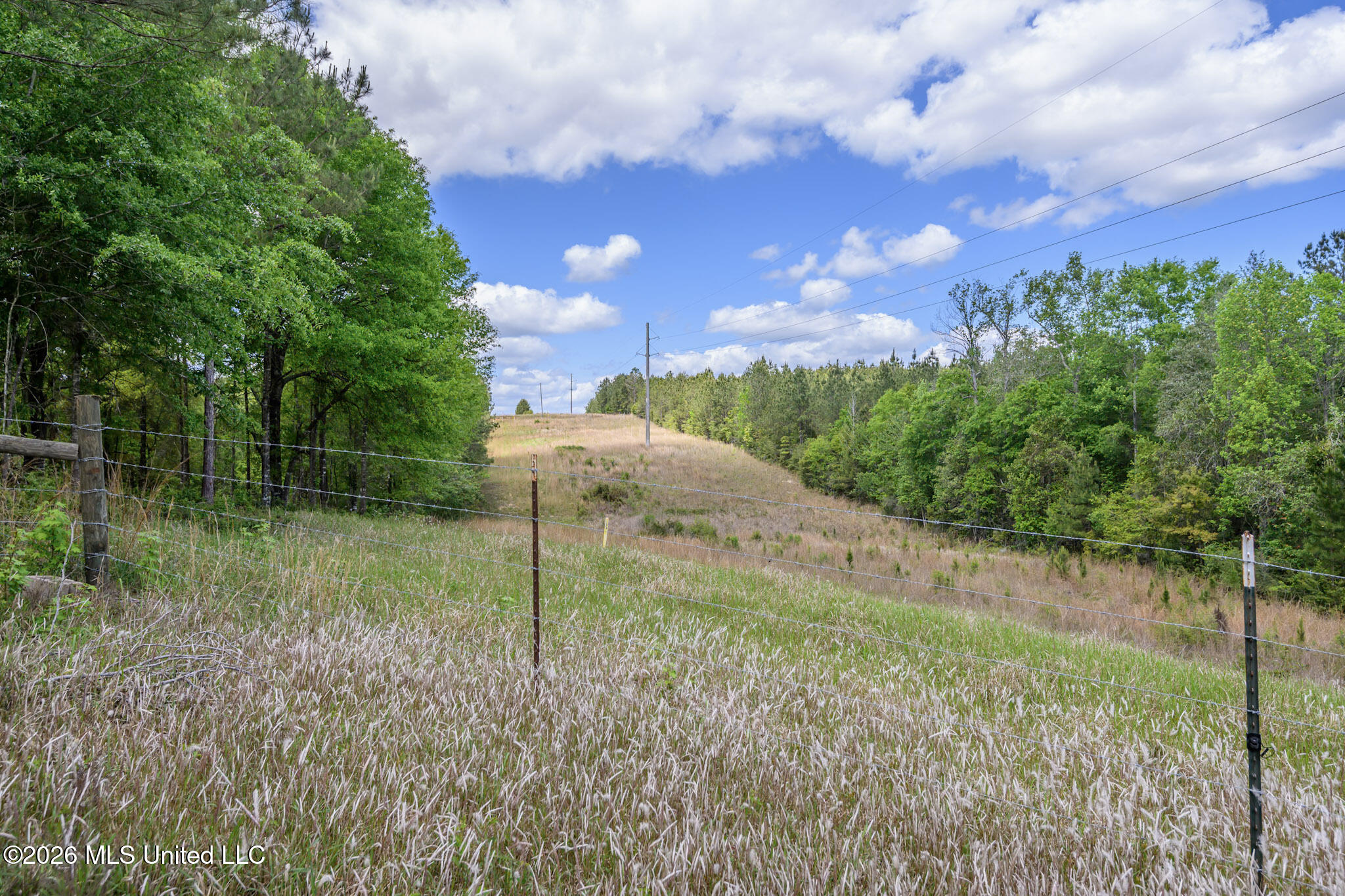 3236 Fowl Road Leakesville, MS 39451 - Photo 39 of 57 FowlRd3236-47