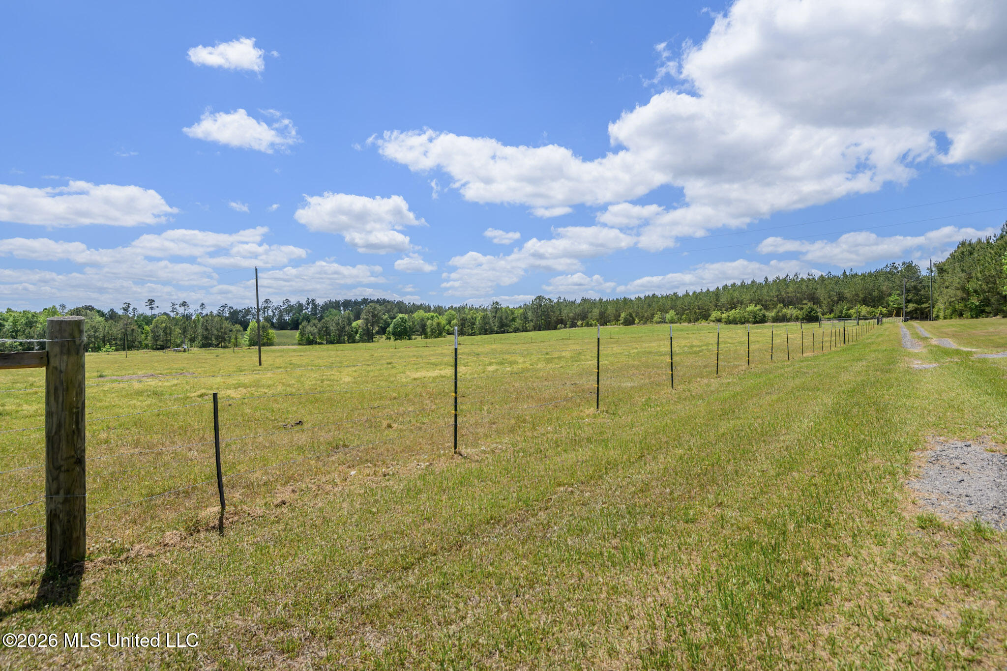 3236 Fowl Road Leakesville, MS 39451 - Photo 46 of 57 FowlRd3236-55