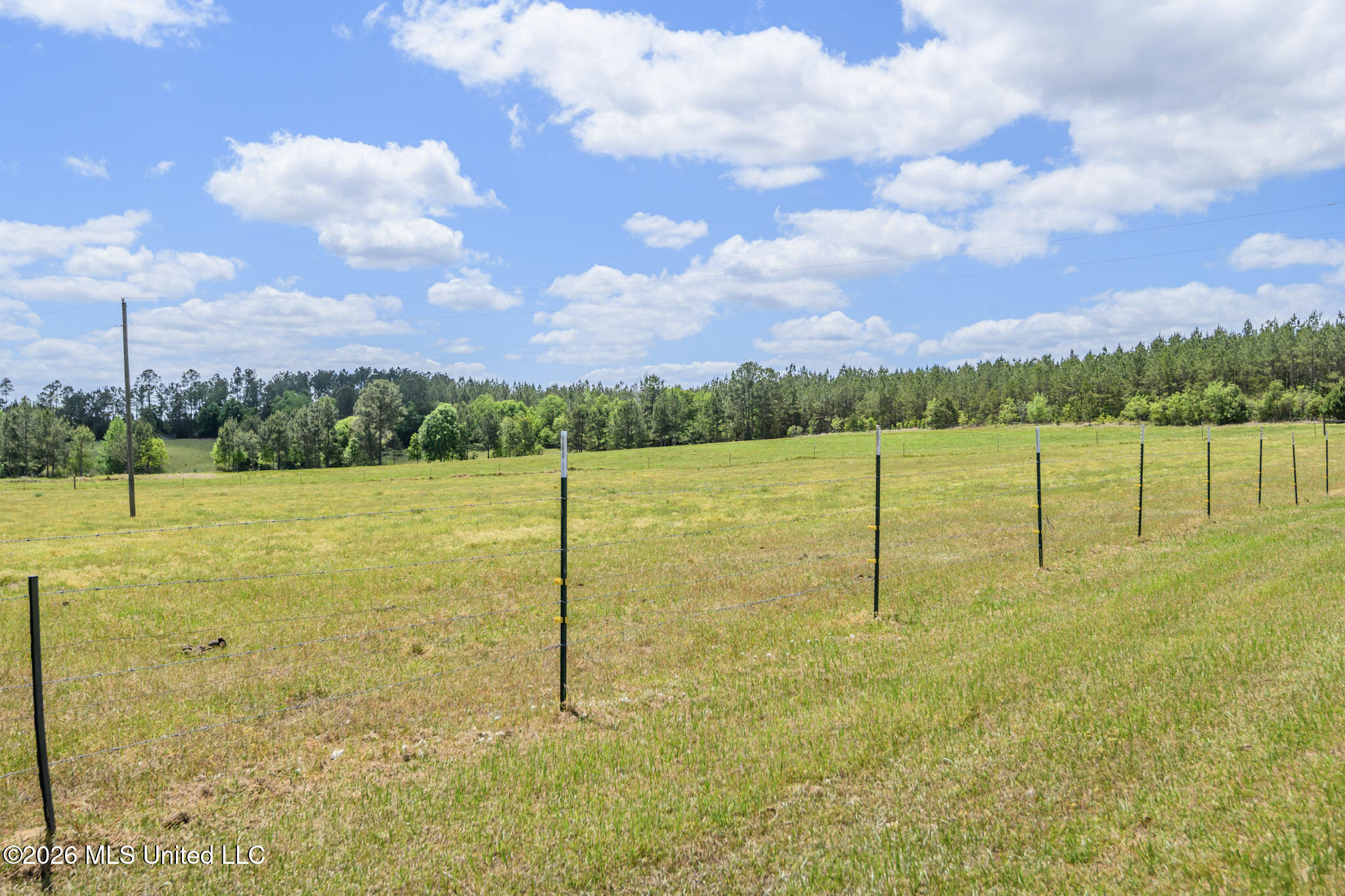 3236 Fowl Road Leakesville, MS 39451 - Photo 47 of 57 FowlRd3236-56