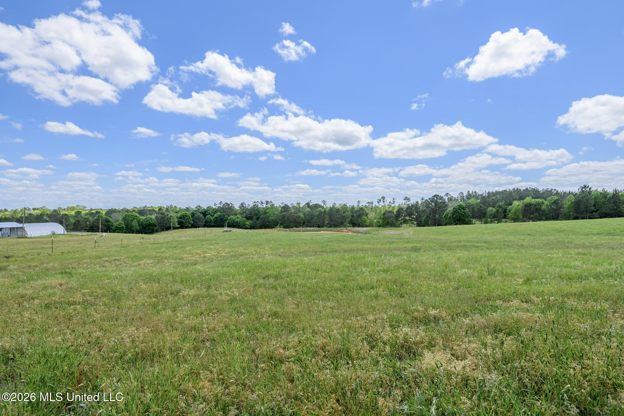 3236 Fowl Road Leakesville, MS 39451 - Photo 50 of 57 FowlRd3236-59