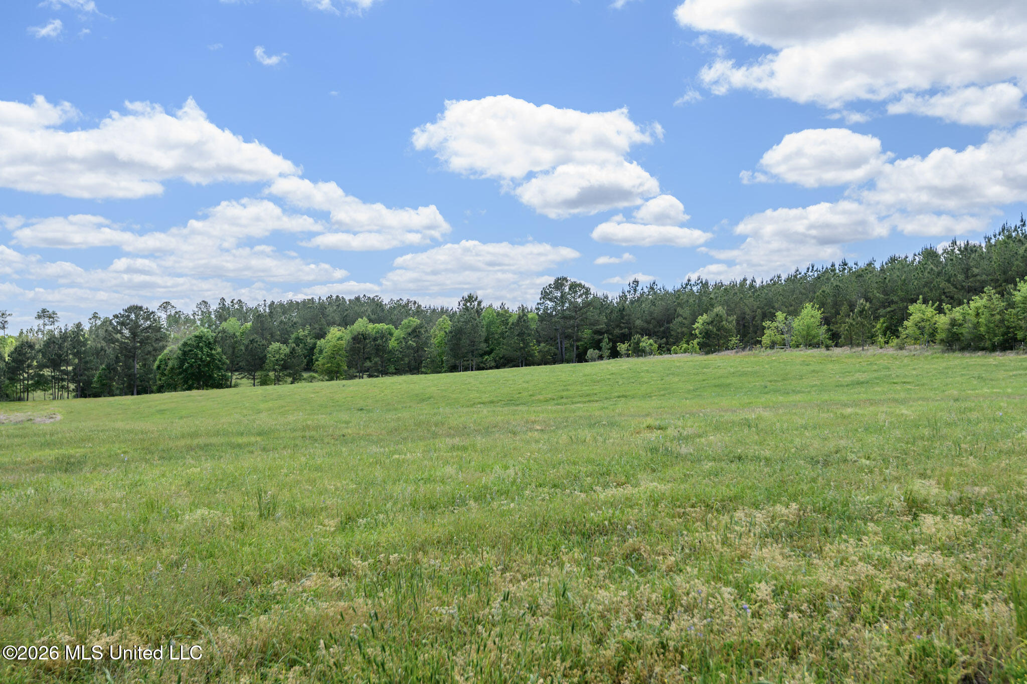 3236 Fowl Road Leakesville, MS 39451 - Photo 52 of 57 FowlRd3236-61