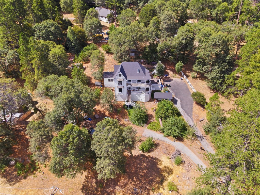 450 Dart Canyon Road Crestline, CA 92325 - Photo 4 of 43