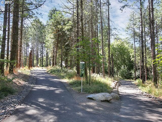 9478 Northwest Ember Lane Portland, OR 97229 - Photo 22 of 23 a view of a street with a tree