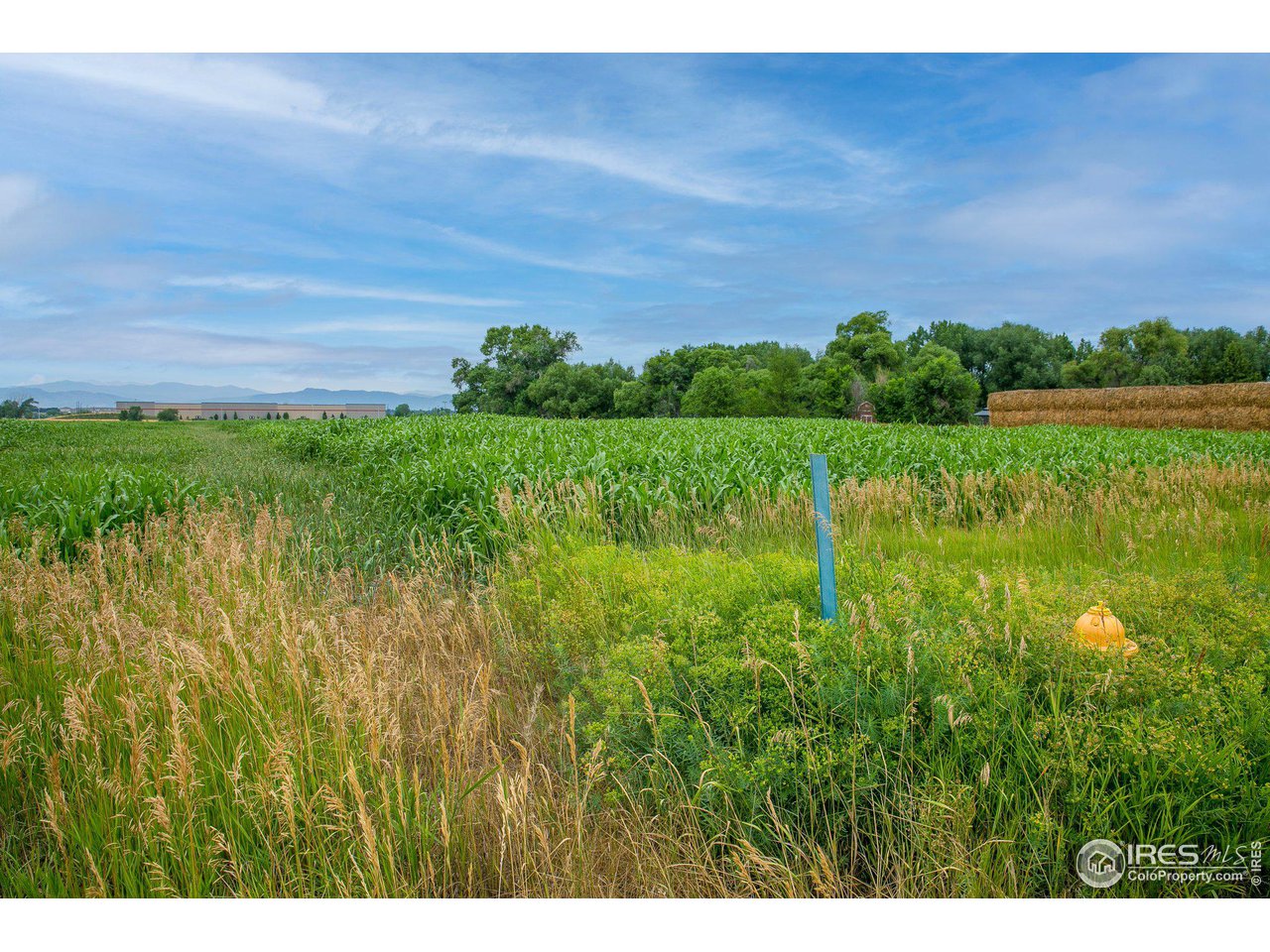 4801 East Harmony Road Fort Collins, CO 80528 - Photo 16 of 27 a view of a lake with a yard