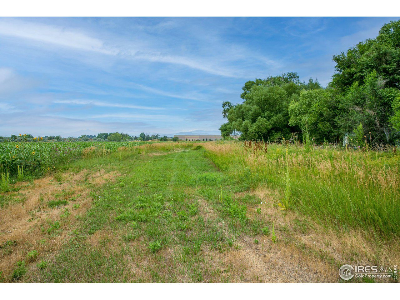 4801 East Harmony Road Fort Collins, CO 80528 - Photo 17 of 27 a view of a big yard with large trees