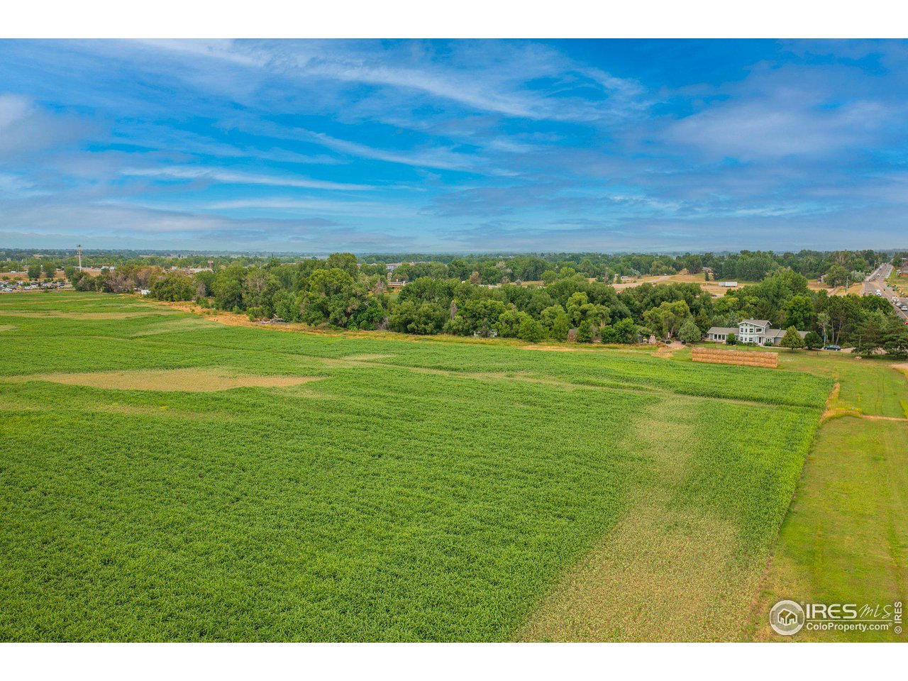 4801 East Harmony Road Fort Collins, CO 80528 - Photo 19 of 27 a view of a big yard with a large tree