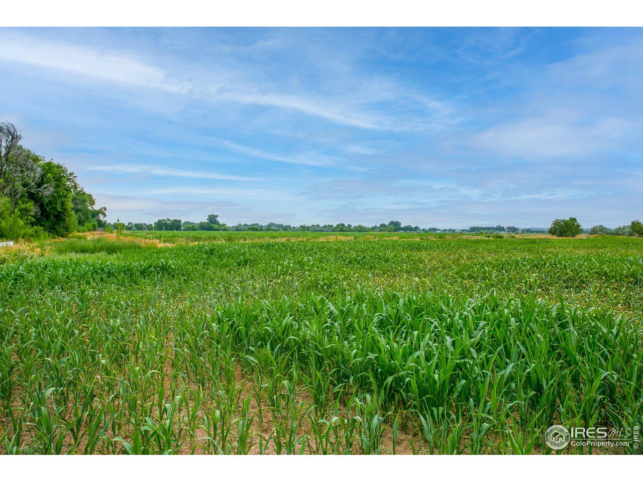 4801 East Harmony Road Fort Collins, CO 80528 - Photo 8 of 27 a view of a field of grass and trees