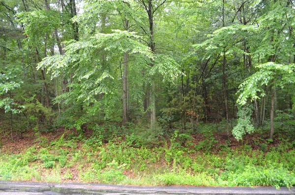$55,000 | Lot 5 Babcock Tavern Road, Ware, MA 01082