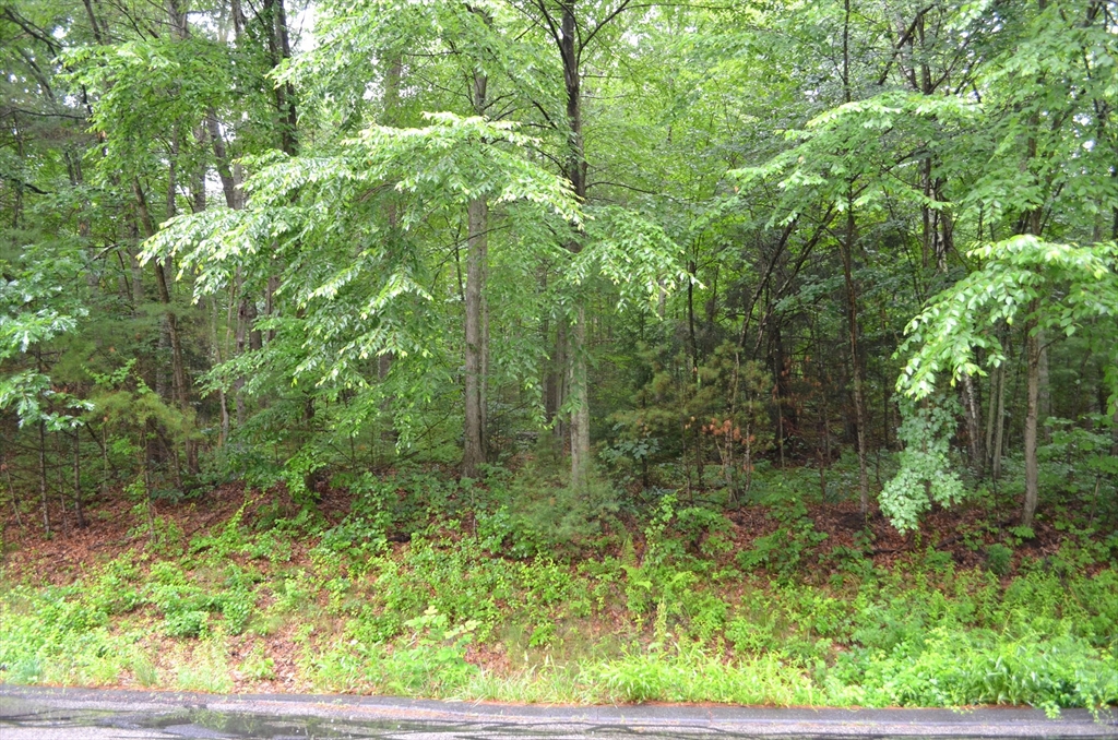Lot 5 Babcock Tavern Road Ware, MA 01082 - Photo 3 of 3