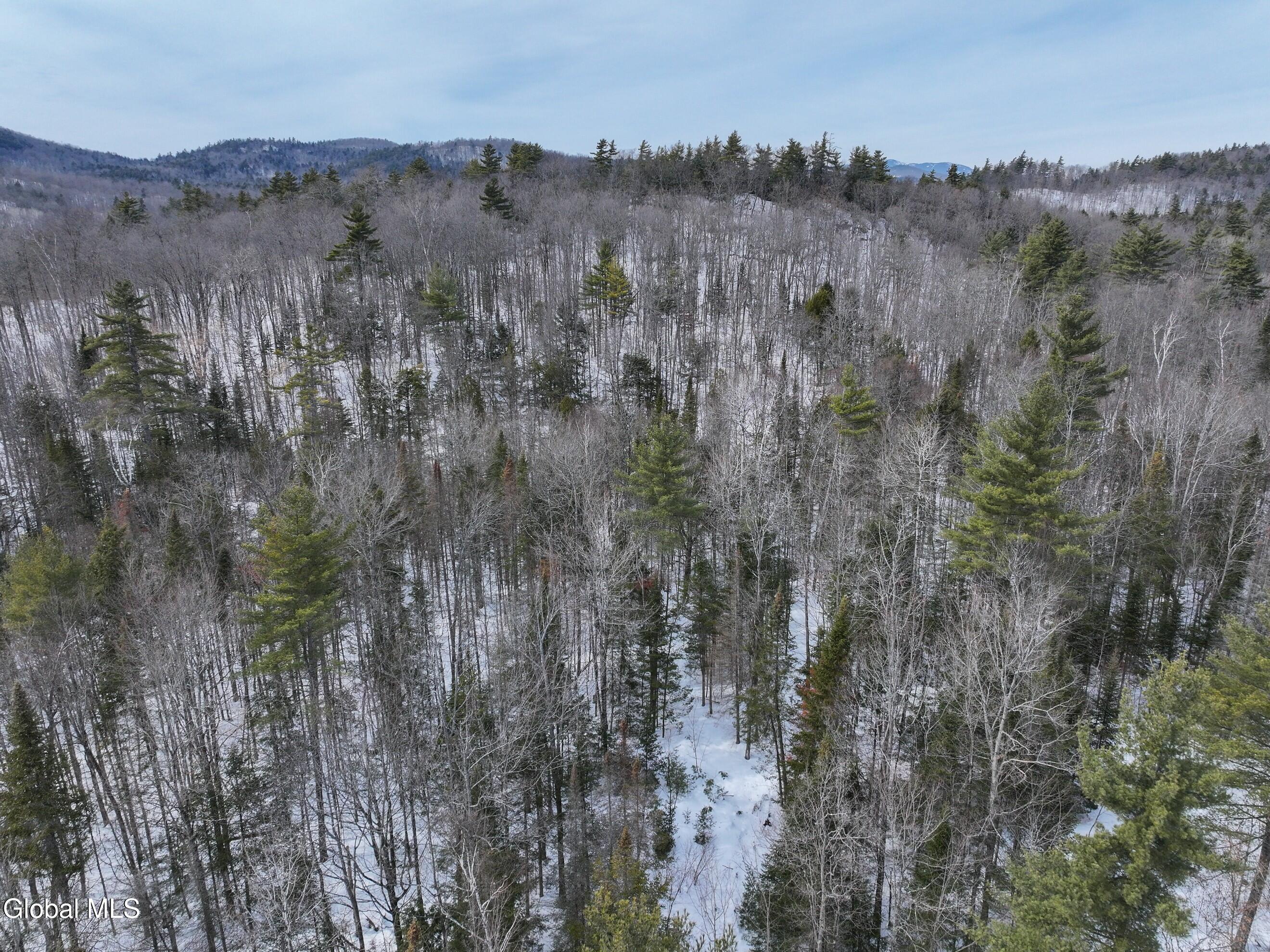 225 Fairy Lake Road Moriah, NY 12960 - Photo 64 of 67 aerial