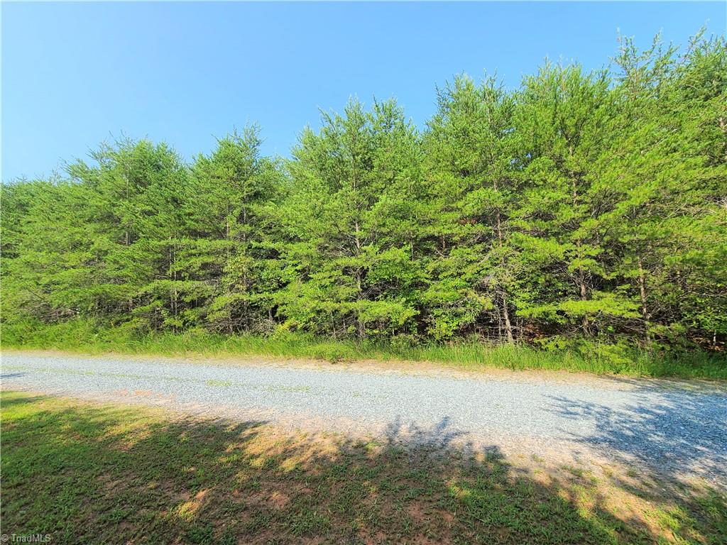 Xx 1-acre Hunter Trail Road Pinnacle, NC 27043 - Photo 3 of 5