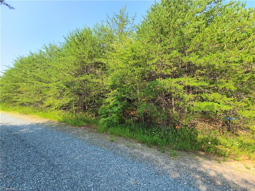 Xx 1-acre Hunter Trail Road Pinnacle, NC 27043 - Photo 4 of 5
