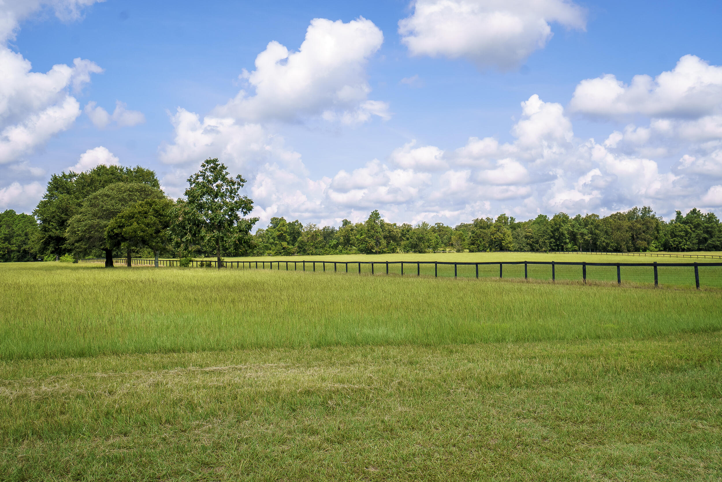 4267 Wagener Road Aiken, SC 29805 - Photo 43 of 60 Gallery Image 43