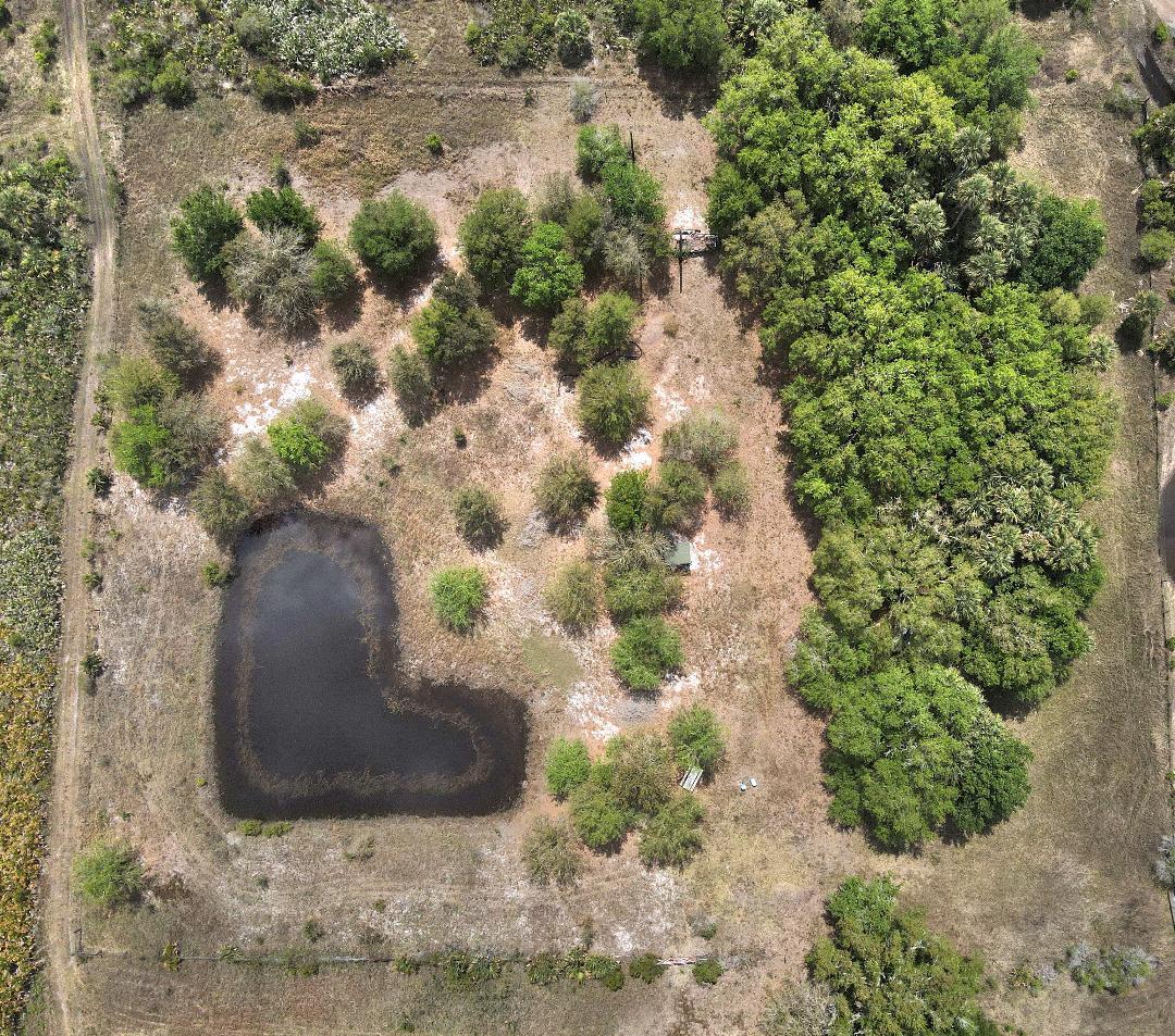 a view of a garden