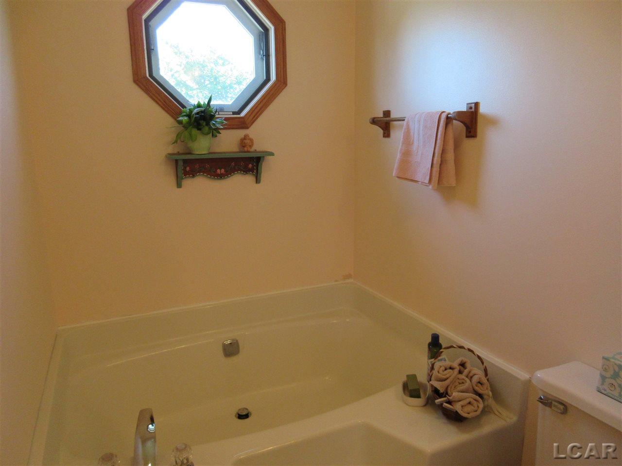 5235 Allen Road Tecumseh, MI 49286 - Photo 23 of 51