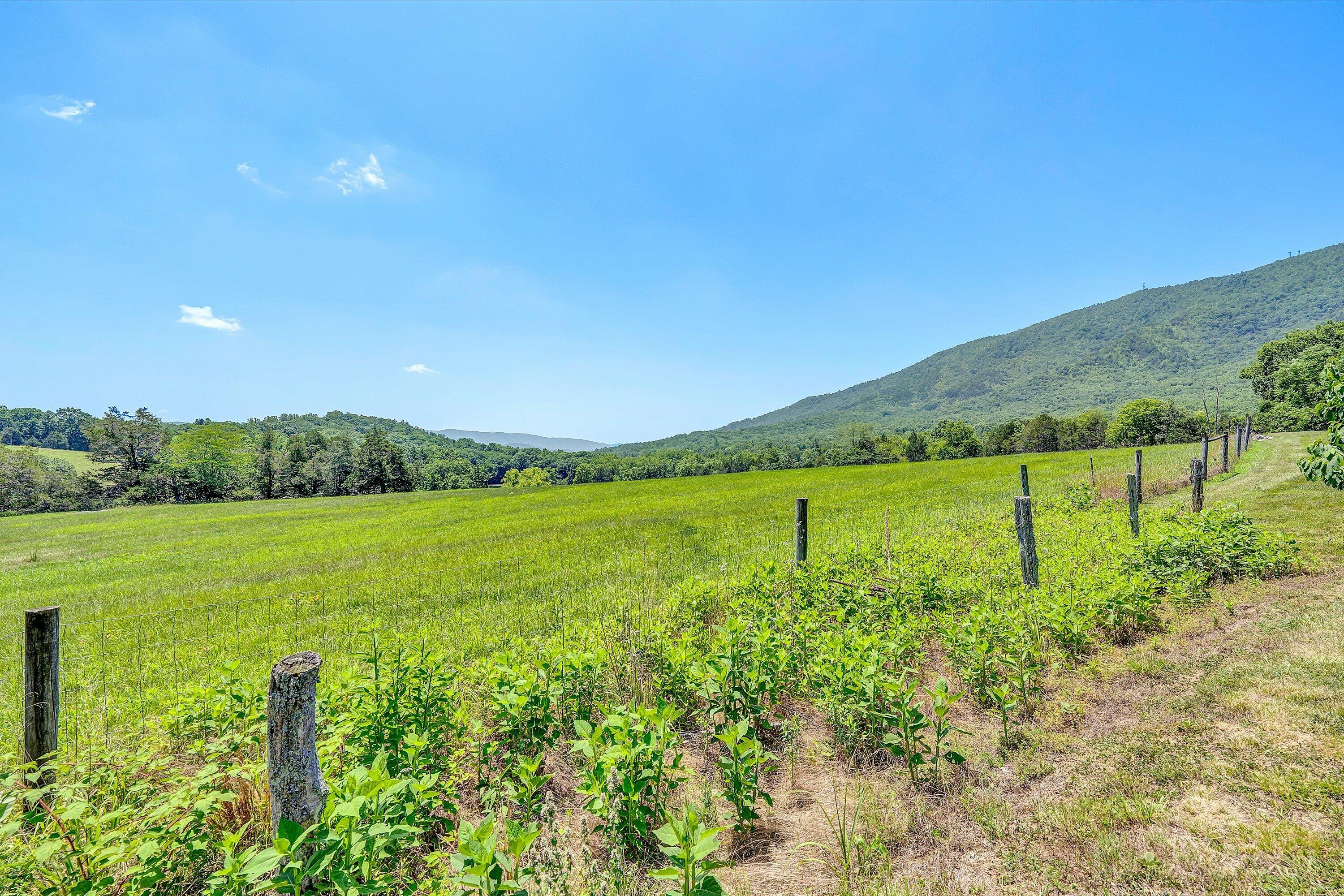 1066 Greyledge Road Buchanan, VA 24066 - Photo 81 of 122 081-DSC08632
