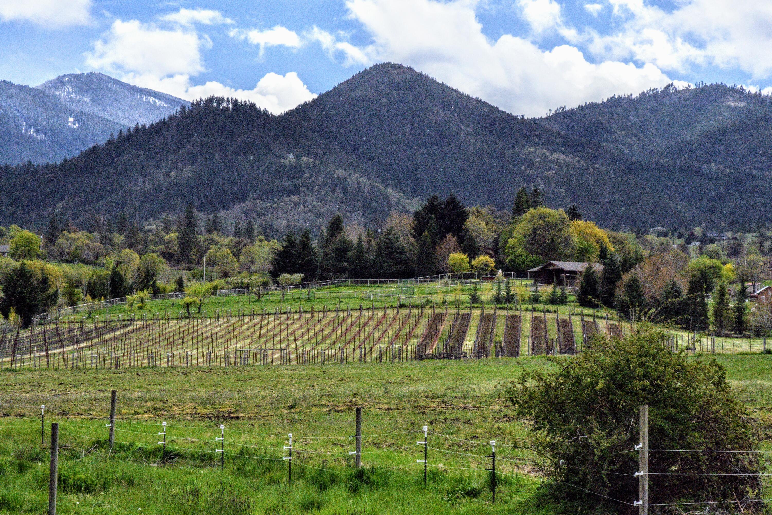 7226 Wagner Creek Road Talent, OR 97540 - Photo 6 of 23 DSC_2287