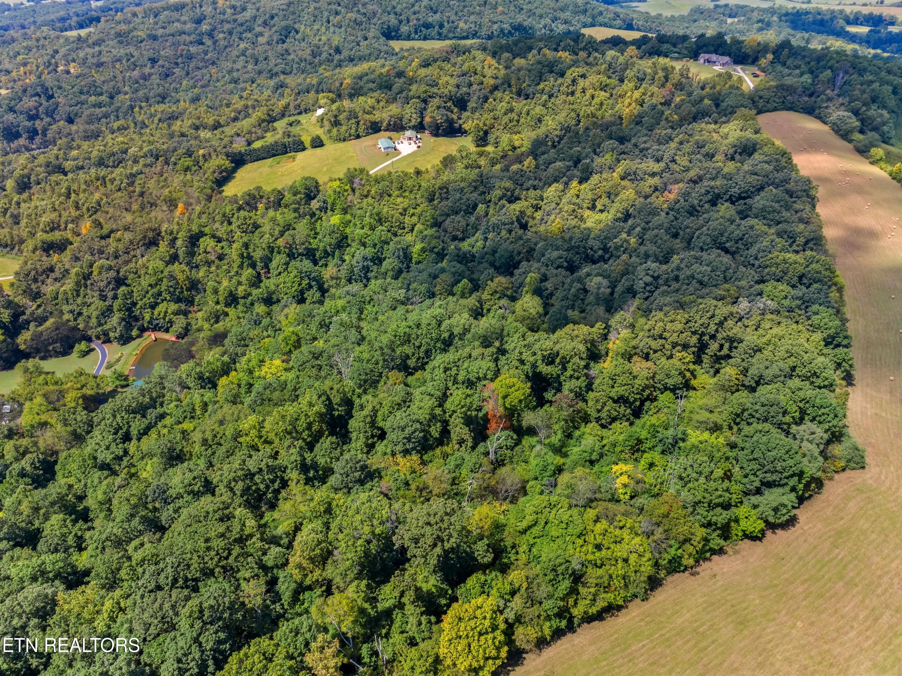 348 Burkhart Road Rutledge, TN 37861 - Photo 40 of 45 43-XJI_20240902124223_0293_D.jpg-SMALL