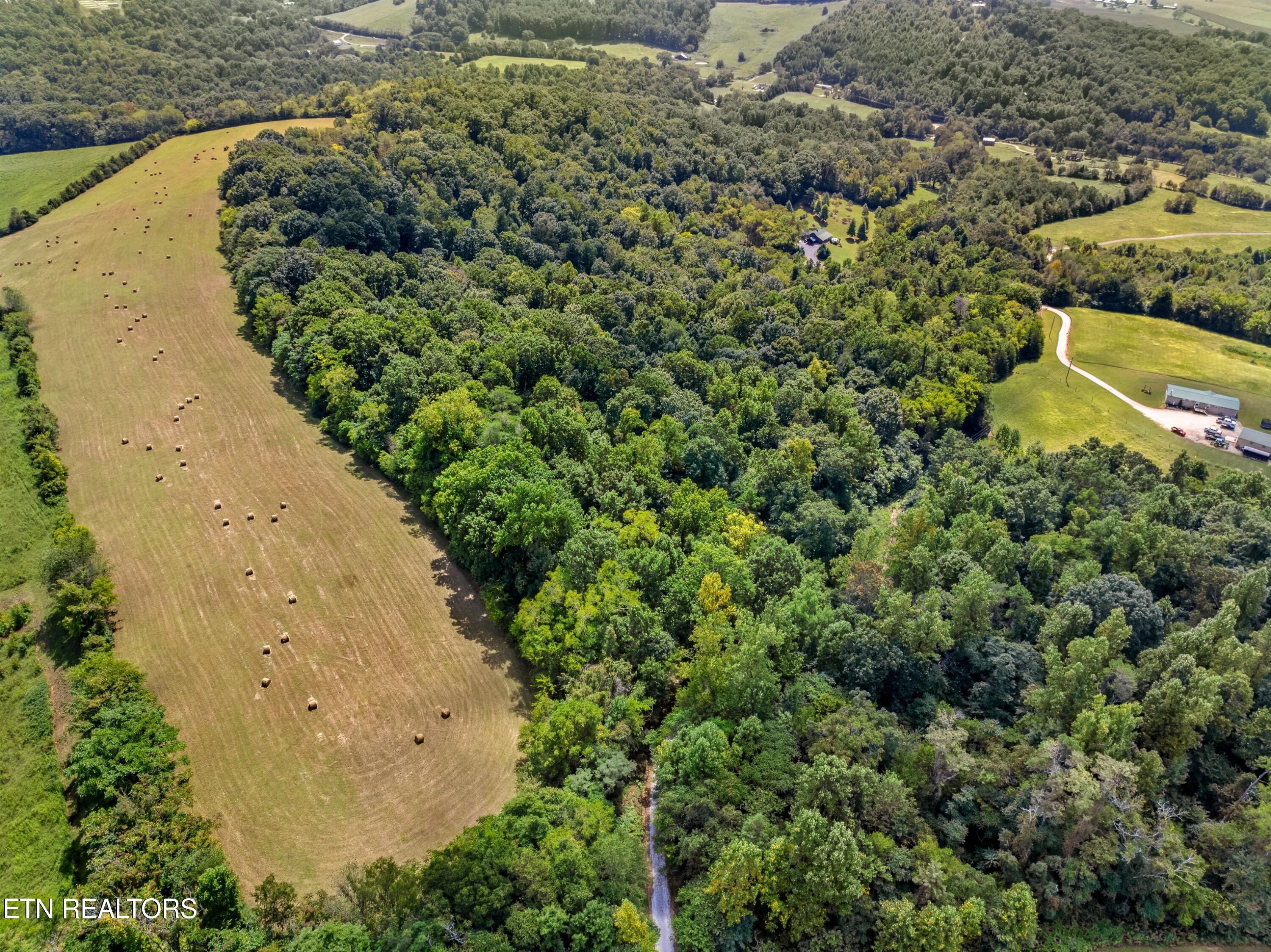 348 Burkhart Road Rutledge, TN 37861 - Photo 41 of 45 44-XJI_20240902124333_0298_D.jpg-SMALL