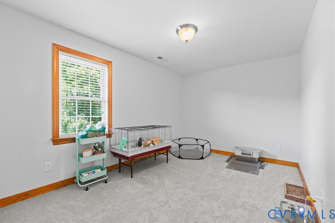 3137 Trenholm Road Powhatan, VA 23139 - Photo 45 of 72 a living room with furniture and a window