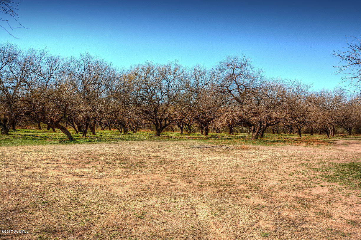 174 Bridge Road Tubac, AZ 85646 - Photo 23 of 28