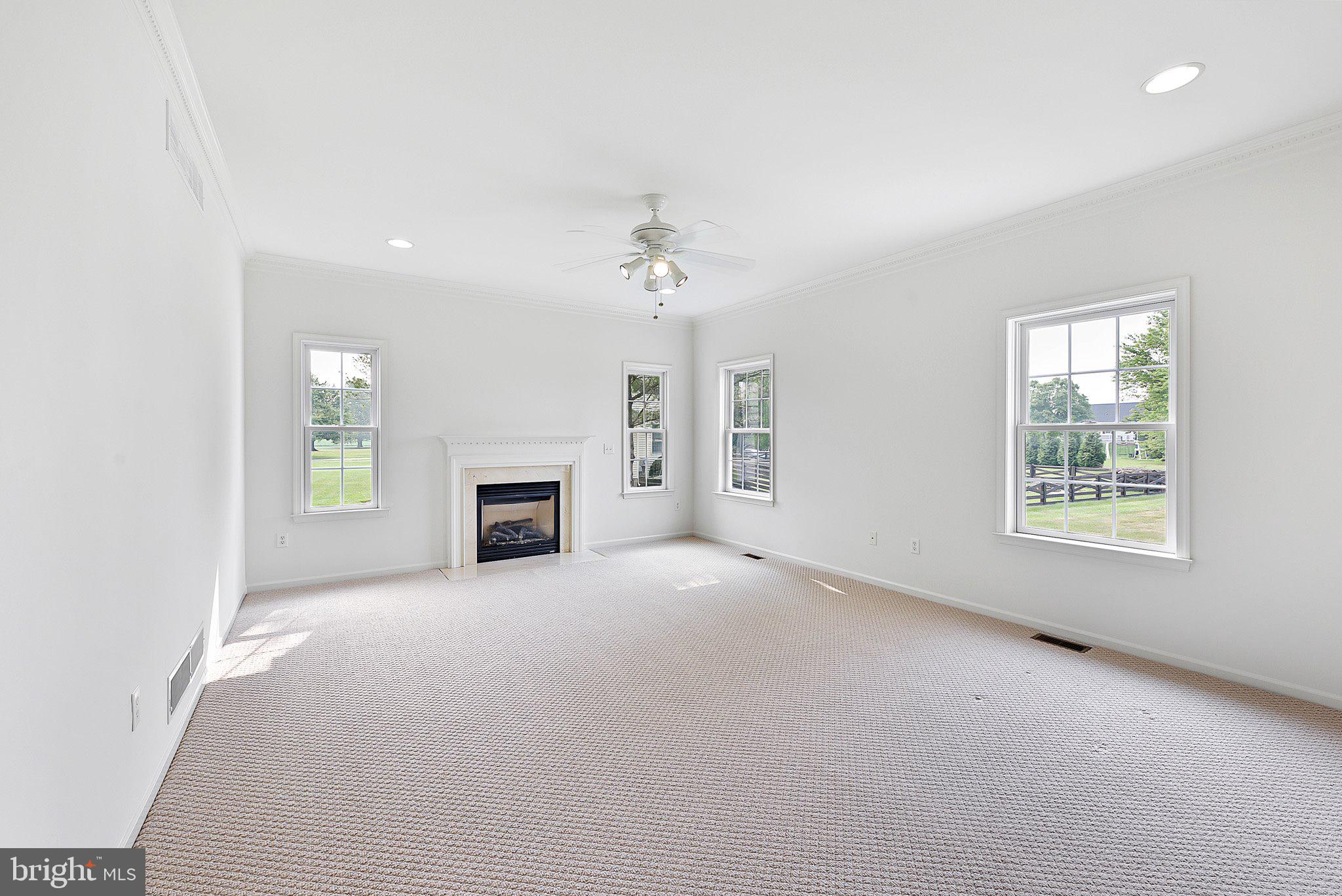6352 Millington Road Clayton, DE 19938 - Photo 8 of 32 Family Room w/Gas FP