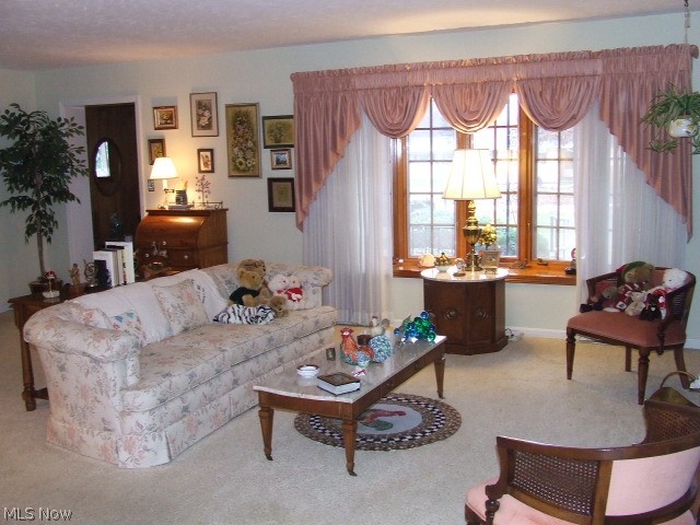 516 Overwood Road Akron, OH 44313 - Photo 4 of 35