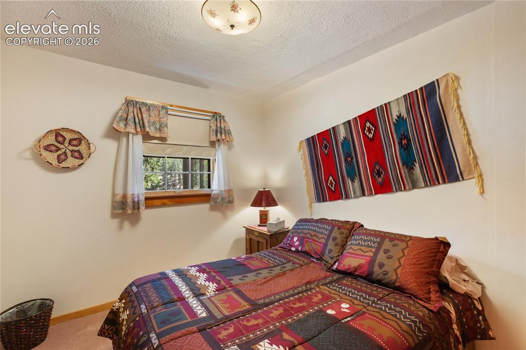 146 Toms Ranch Rd Lake Lake George, CO 80827 - Photo 25 of 30