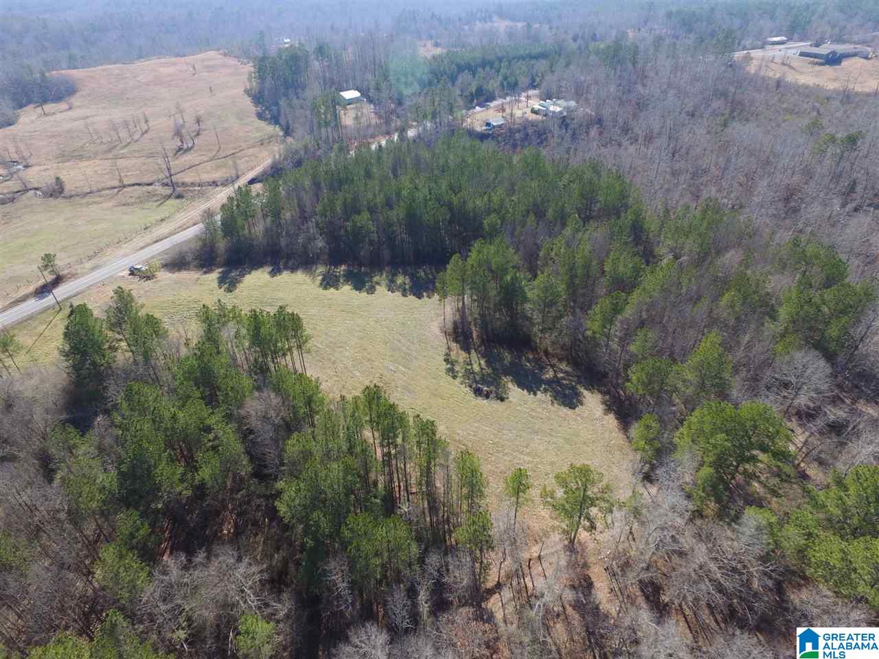 0 Shoal Creek Road, Unit 10 AC Ashville, AL 35953 - Photo 13 of 13