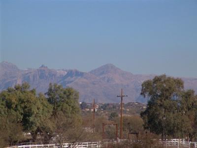3750 North Country Club Road, Unit 47 Tucson, AZ 85716 - Photo 9 of 10