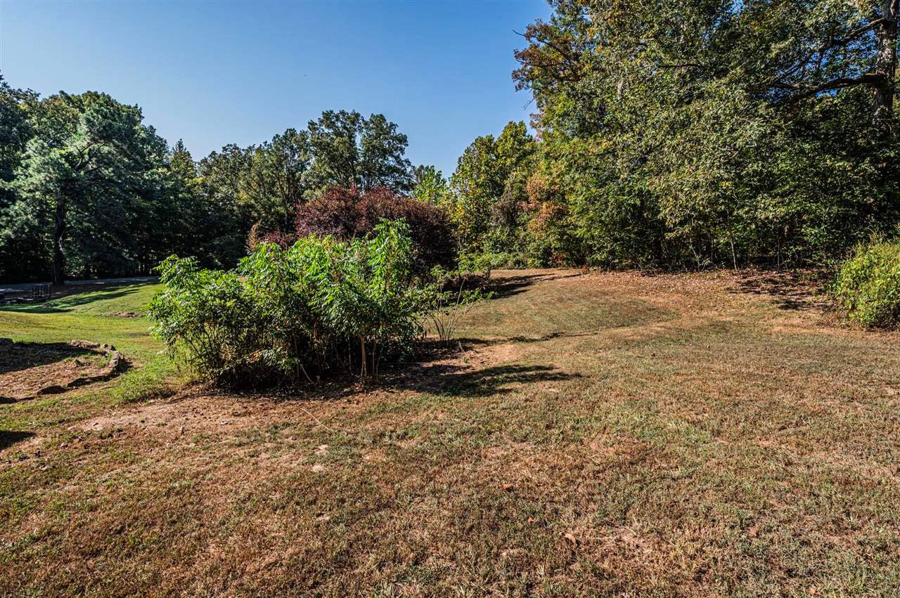 220 Dunn Store Road Morgantown, KY 42261 - Photo 26 of 39 Gallery Image 26