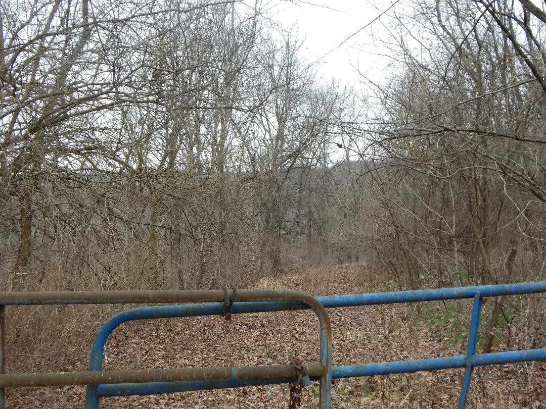 15 Mexico Road Ewing, KY 41039 - Photo 3 of 5 Photo 3