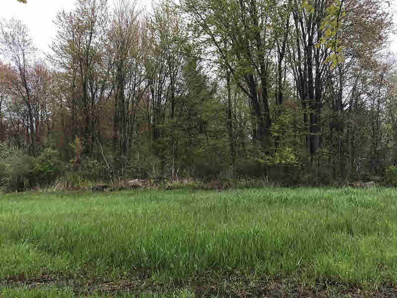 0 East Cottage Grove Road Linwood, MI 48631 - Photo 3 of 7