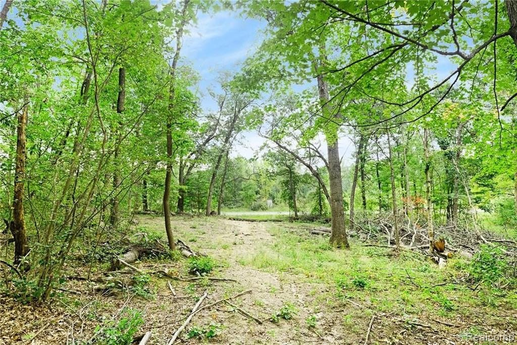 0 Kaiser Road Gregory, MI 48137 - Photo 3 of 18