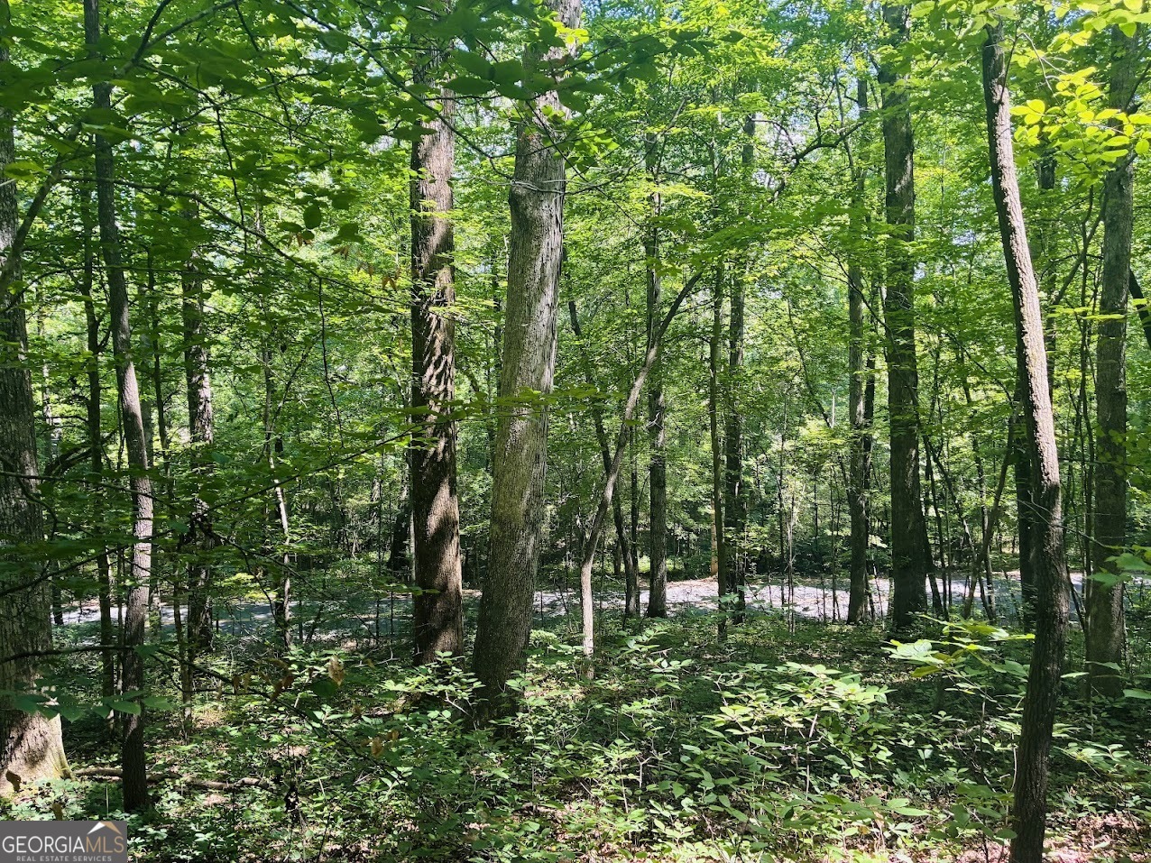 0 Forest Glen Road, Unit A Sylacauga, AL 35151 - Photo 8 of 34