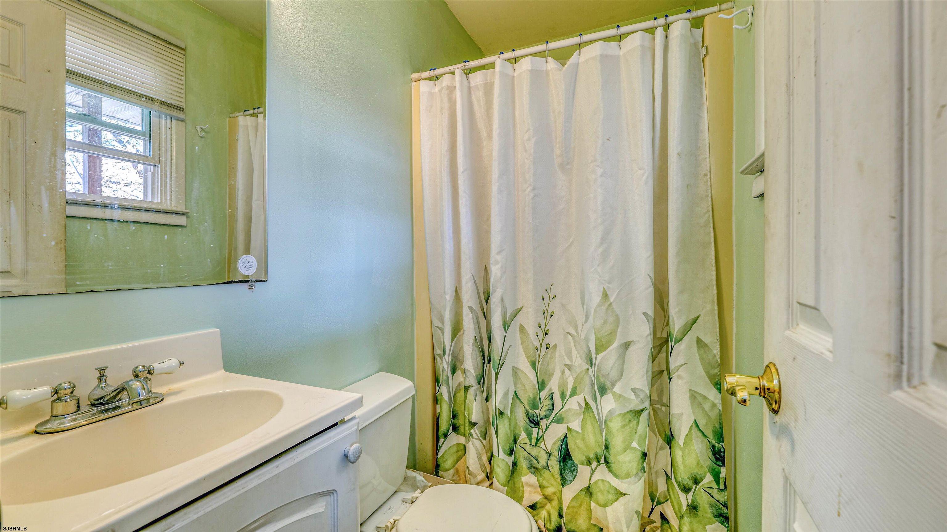 61 Leitz Boulevard Tuckerton, NJ 08087 - Photo 17 of 24 a bathroom with a sink a toilet and shower curtain