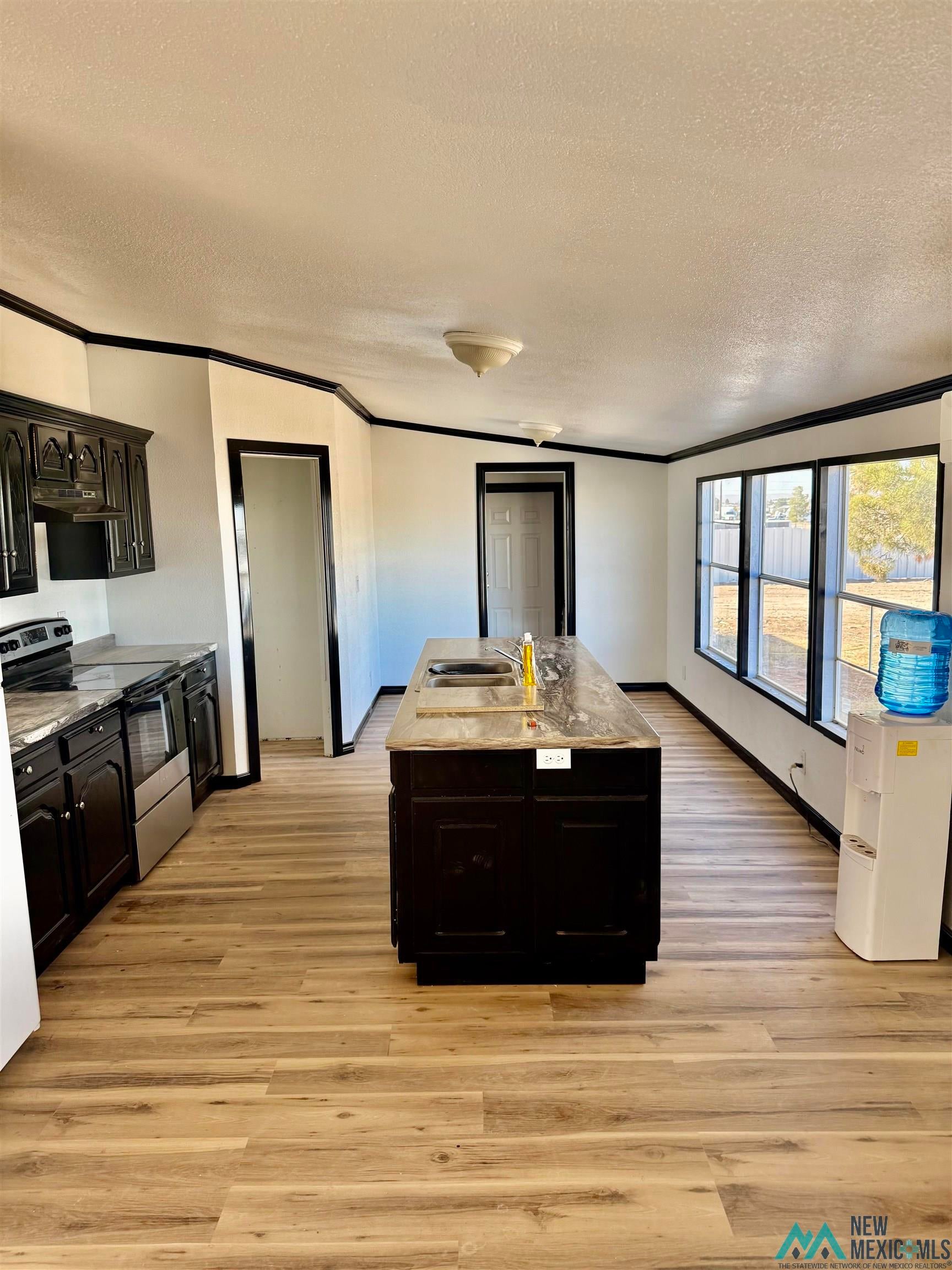 207 Chuckwagon Road Carlsbad, NM 88220 - Photo 4 of 19 Kitchen with stainless steel range with electric cooktop, crown molding, dark cabinets, a textured ceiling, and a kitchen island with sink