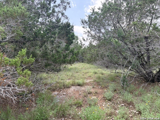 128 Coneflower Drive Spring Branch, TX 78070 - Photo 15 of 27