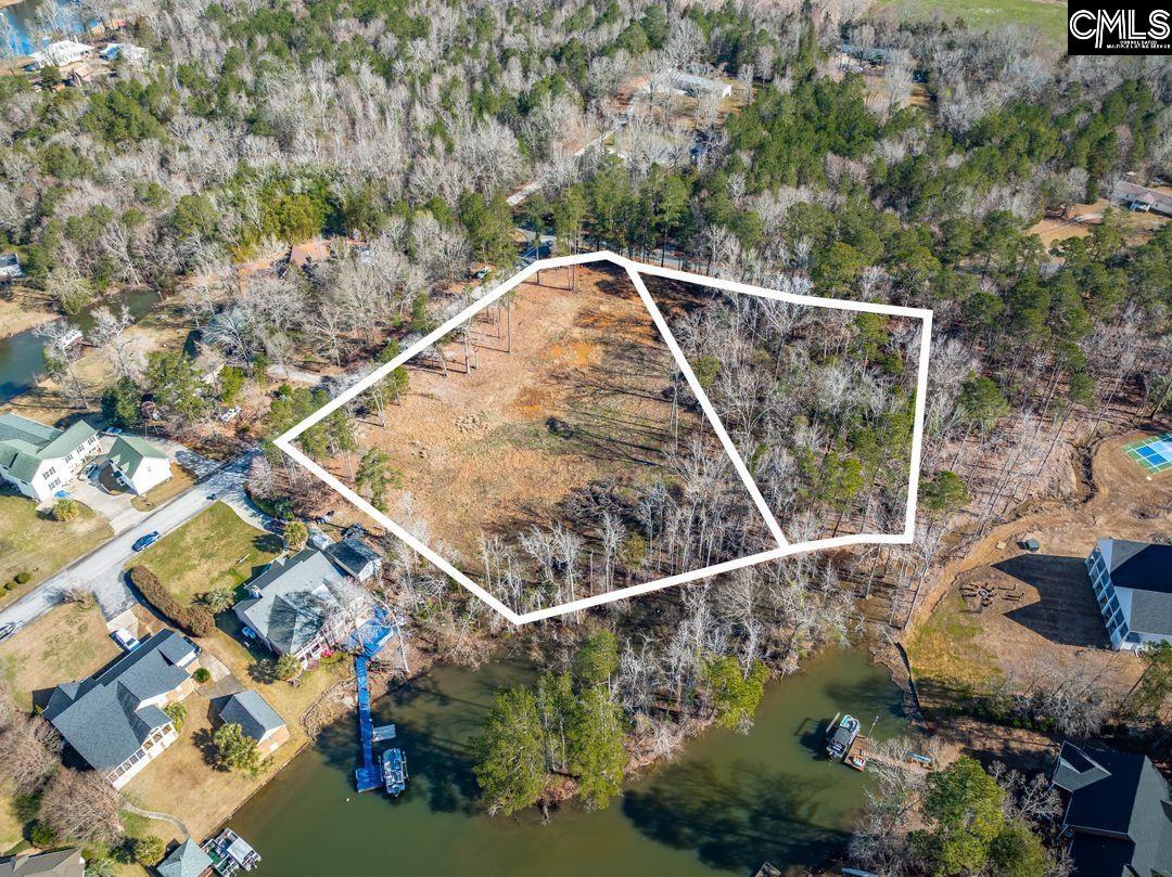 0 Bogater Road Chapin, SC 29036 - Photo 3 of 8