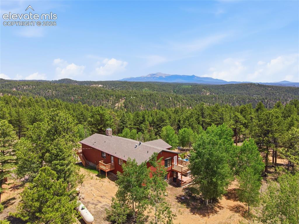 3000 Wildhorn Road Florissant, CO 80816 - Photo 49 of 50