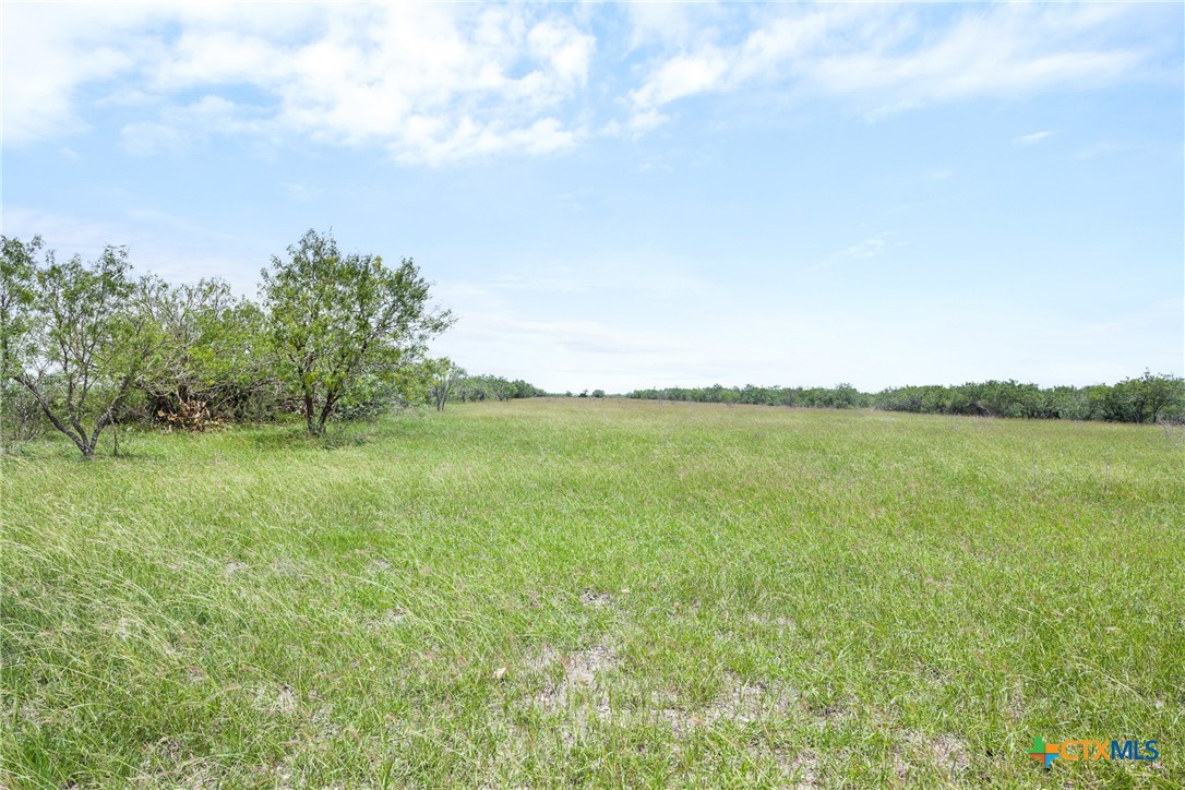 1190 Dickerson Road Lockhart, TX 78644 - Photo 18 of 40