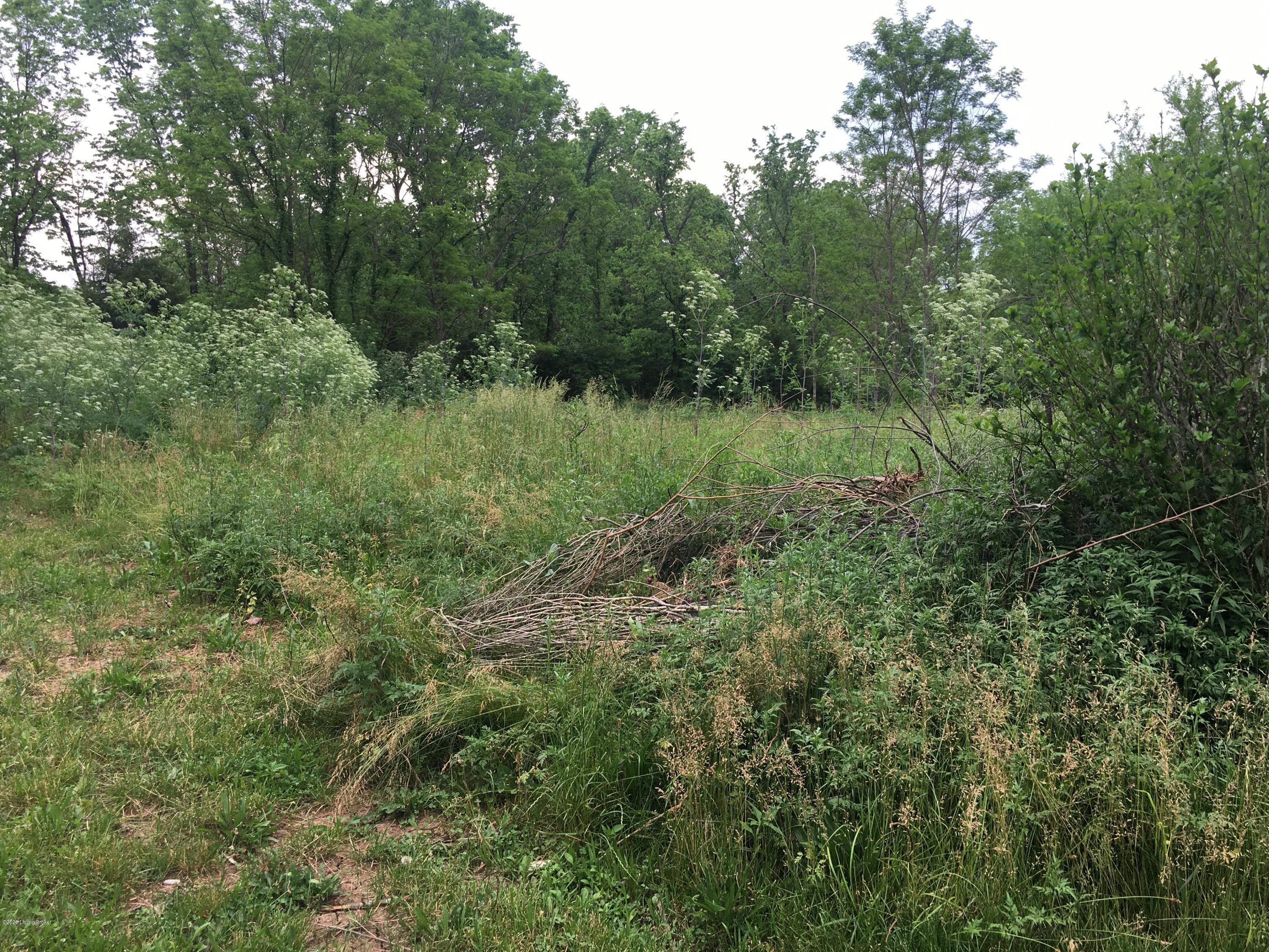 1143 Drennon Road New Castle, KY 40050 - Photo 7 of 15 Untamed area! starts to roll towards the creek.