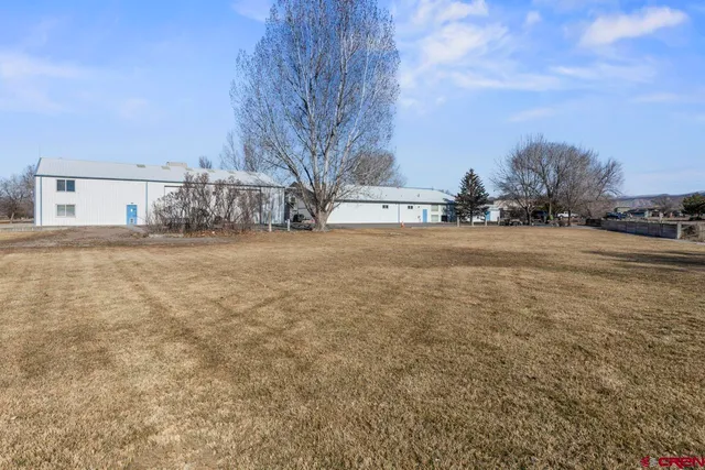 a view of dirt yard with a large tree