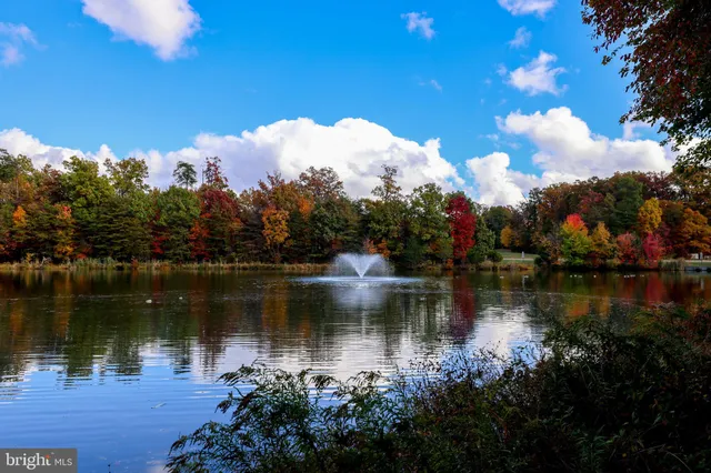 a body of water with a tree in the background