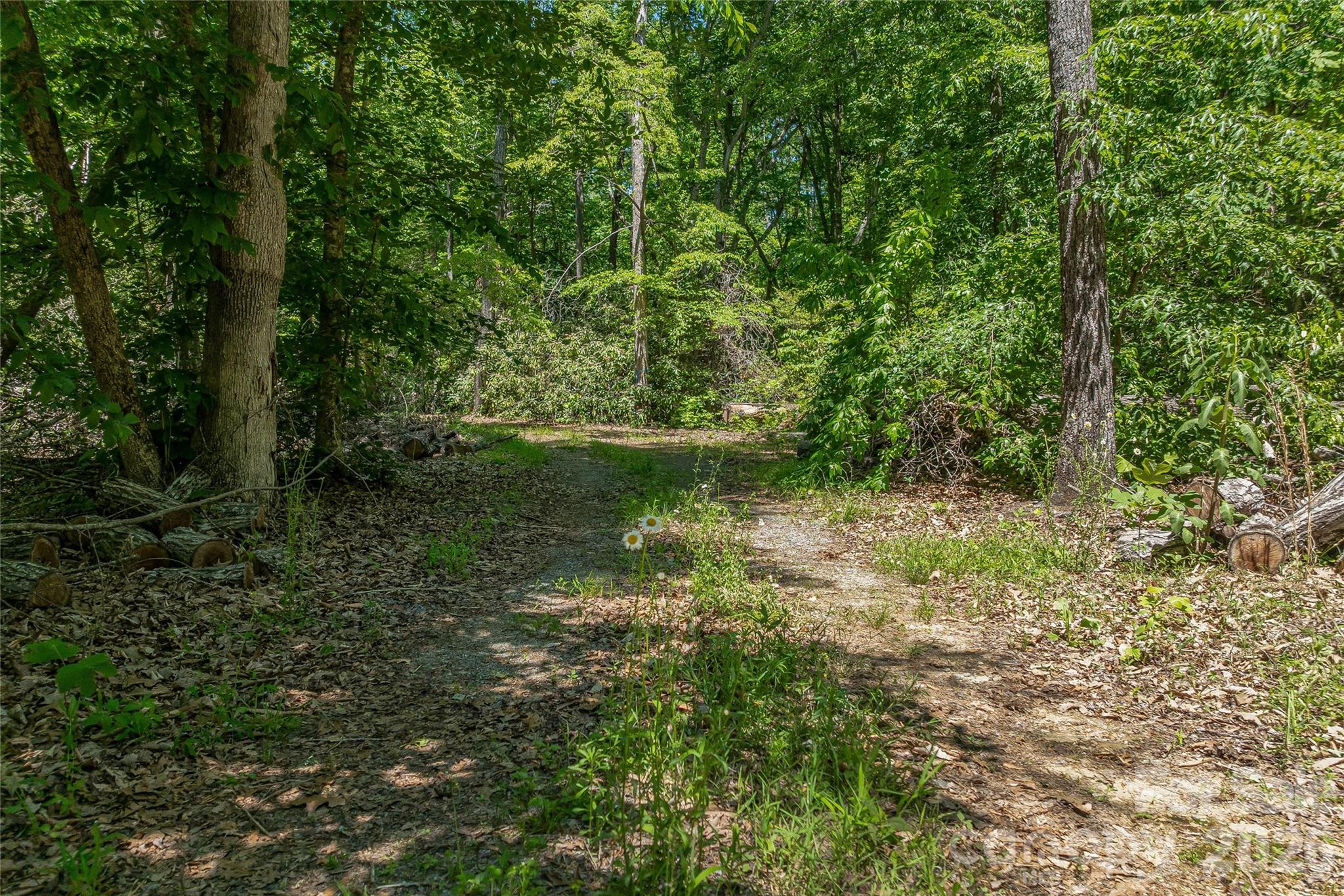 180 Fat Wall Road Marion, NC 28752 - Photo 20 of 32 a view of a green field with lots of bushes