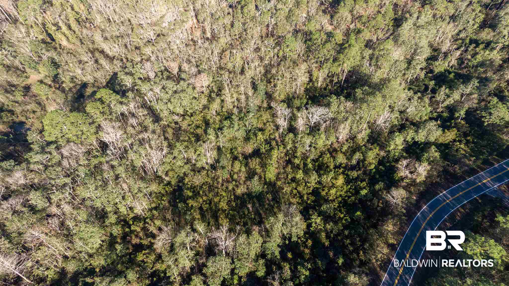 0 McPhillips Road Loxley, AL 36551 - Photo 11 of 27