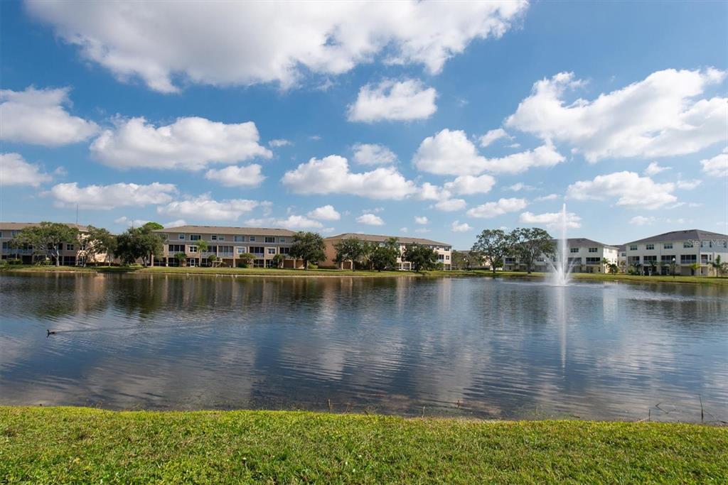 7069 Key Haven Road, Unit 302 Seminole, FL 33777 - Photo 43 of 65