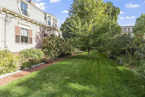 a view of a big yard with plants and large trees
