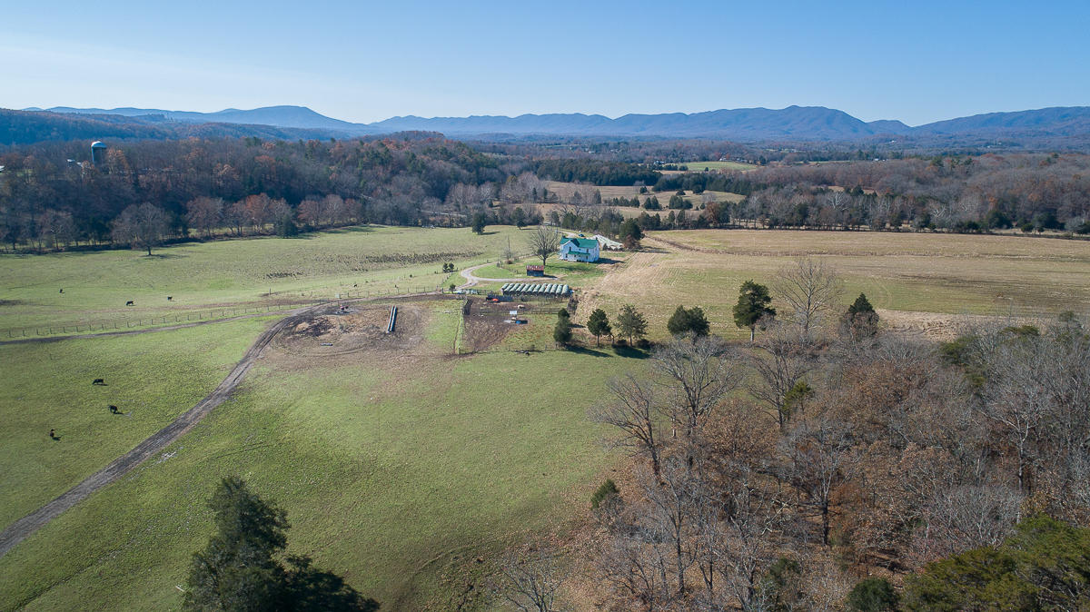 2422 Poor Farm Road Fincastle, VA 24090 - Photo 11 of 61 Aerial view