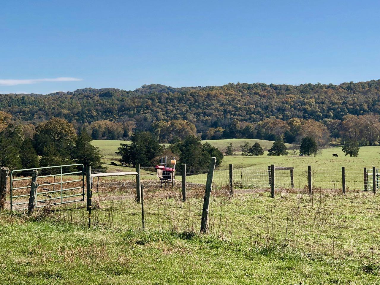 2422 Poor Farm Road Fincastle, VA 24090 - Photo 56 of 61 PoorFarmRd - 20